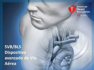 1
SVB/BLS	
Dispositivo
avanzado de	Vía
Aérea
 