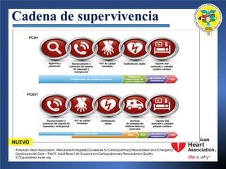 Cadena de supervivencia
NUEVO
American Heart Association. Web-basedIntegrated Guidelines for Cardiopulmnary Resuscitationand Emergency
Cardiovascular Care – Part 5: Adult Basic Life Support andCardiopulmonary ResuscitationQuality.
ECCguidelines.heart.org.
 