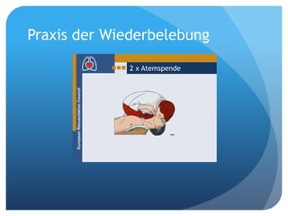 2 x Atemspende
Praxis der Wiederbelebung
 