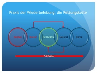 Praxis der Wiederbelebung: die Rettungskette
Notfall Notruf Ersthelfer Notarzt Klinik
Zeitfaktor
 