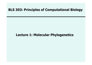 BLS 303: Principles of Computational Biology




    Lecture 1: Molecular Phylogenetics
 