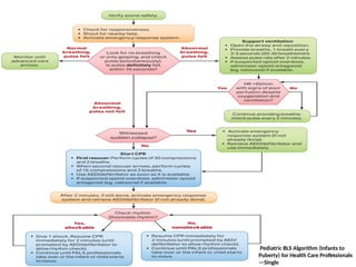 08/05/2026 14
Pediatric BLS Algorithm (Infants to
Puberty) for Health Care Professionals
—Single
 