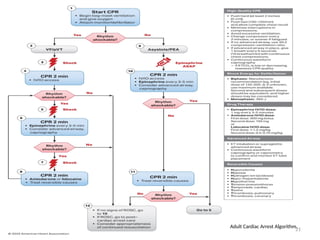08/05/2026 21
Adult Cardiac Arrest Algorithm.
 