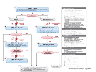 08/05/2026 22
Pediatric Cardiac Arrest Algorithm.
 