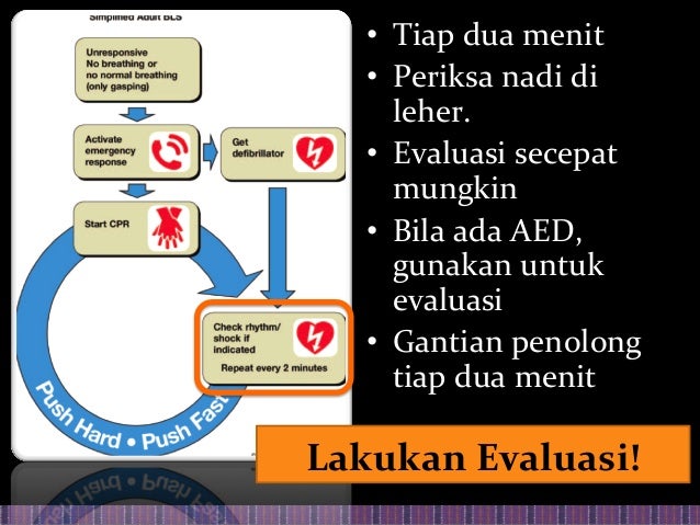 Bantuan Hidup Dasar dan Pengantar Bantuan Hidup Lanjut