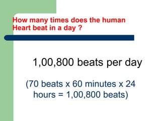 How many times does the human
Heart beat in a day ?
1,00,800 beats per day
(70 beats x 60 minutes x 24
hours = 1,00,800 beats)
 
