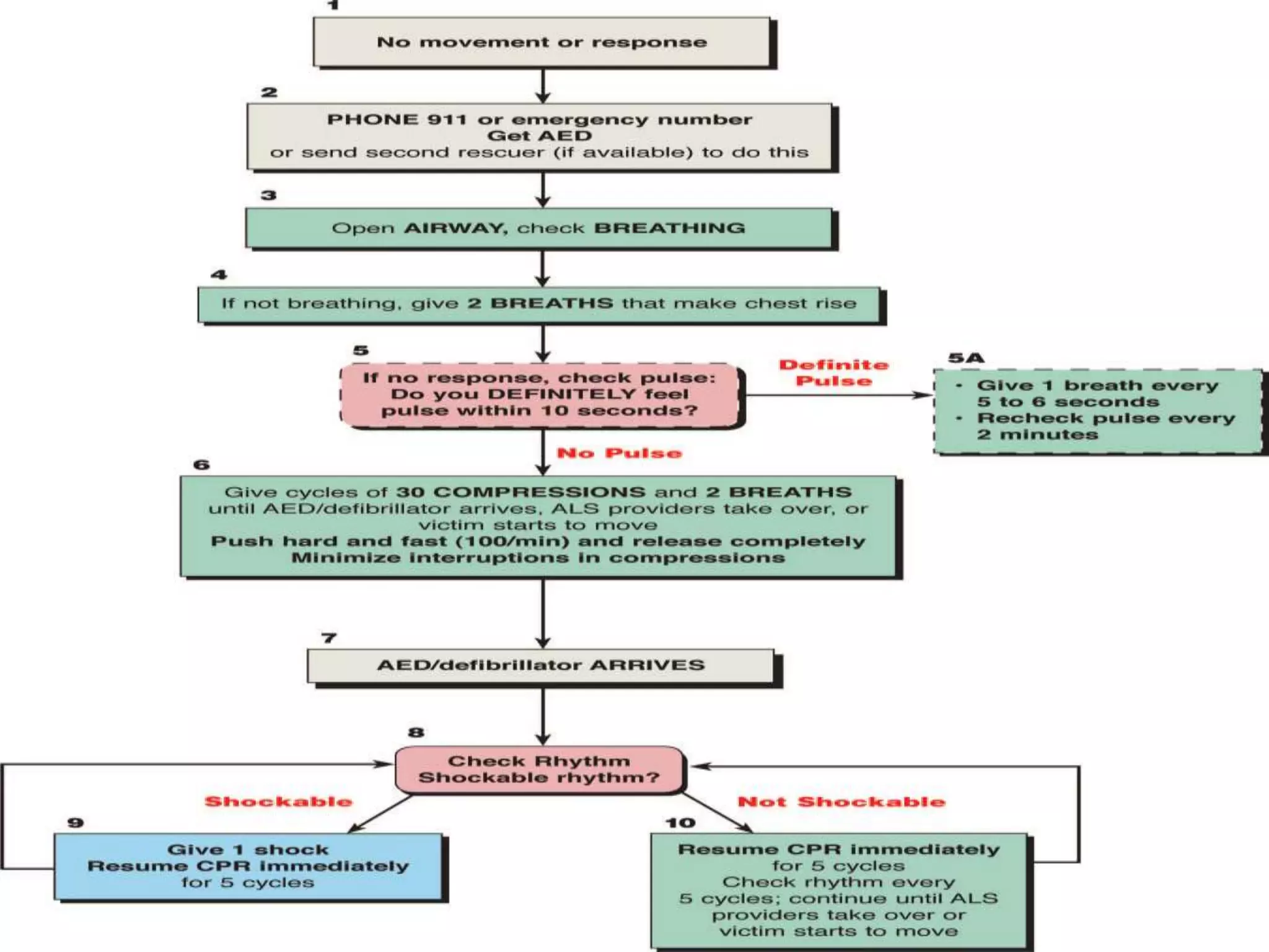 CARDIAC ARREST-BLS-ACLSFour rhythms produce pulseless cardiac arrest: ventricular fibrillation (VF), rapid ventricular tachycardia (VT),pulselesselectrical activity (PEA), and asystole. Survival from these arrest rhythms requires both basic life support (BLS) and advanced cardiovascular life support (ACLS).