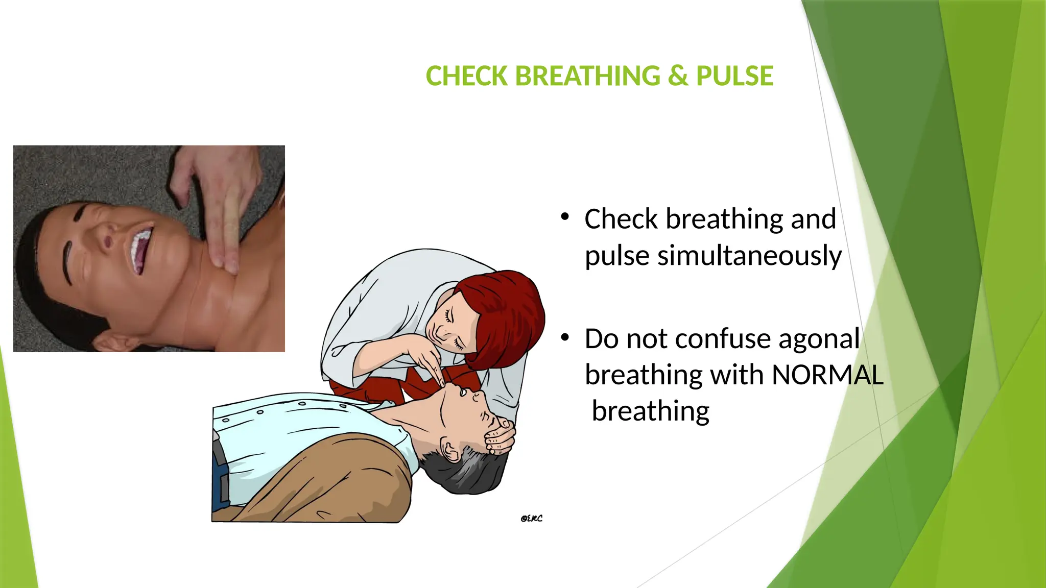 CHECK BREATHING & PULSE
• Check breathing and
pulse simultaneously
• Do not confuse agonal
breathing with NORMAL
breathing
 