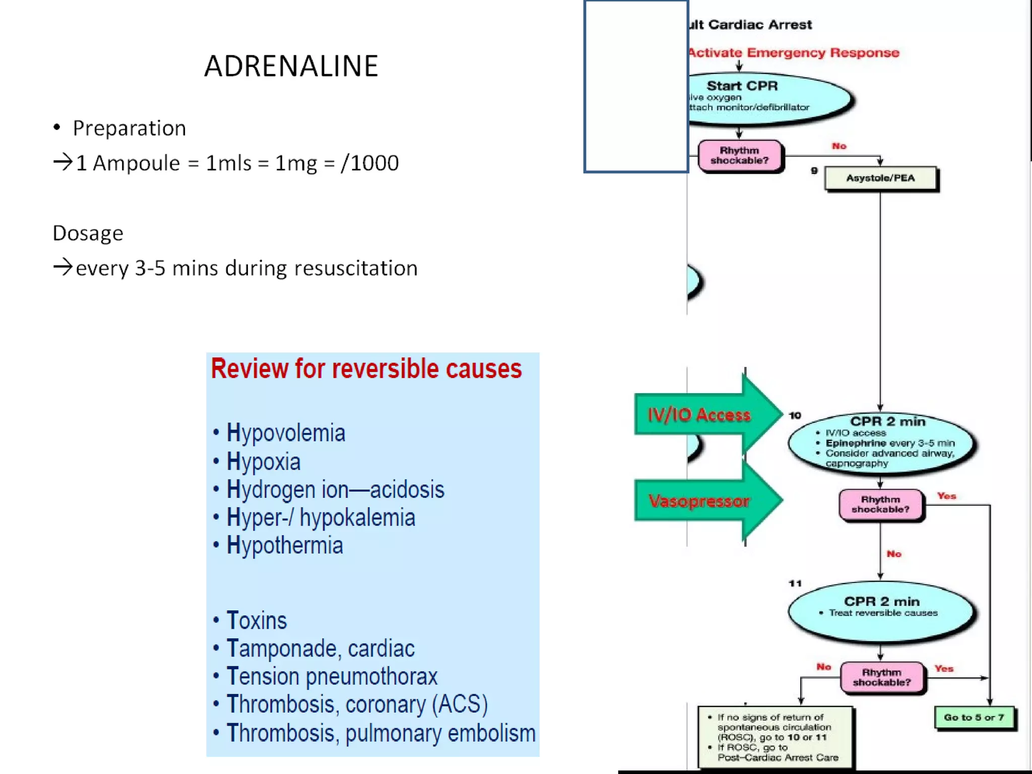 Bls and acls megacode --hui
