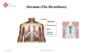 Llsb Basic Life Support Session Presentation Ali Medical | PPTX