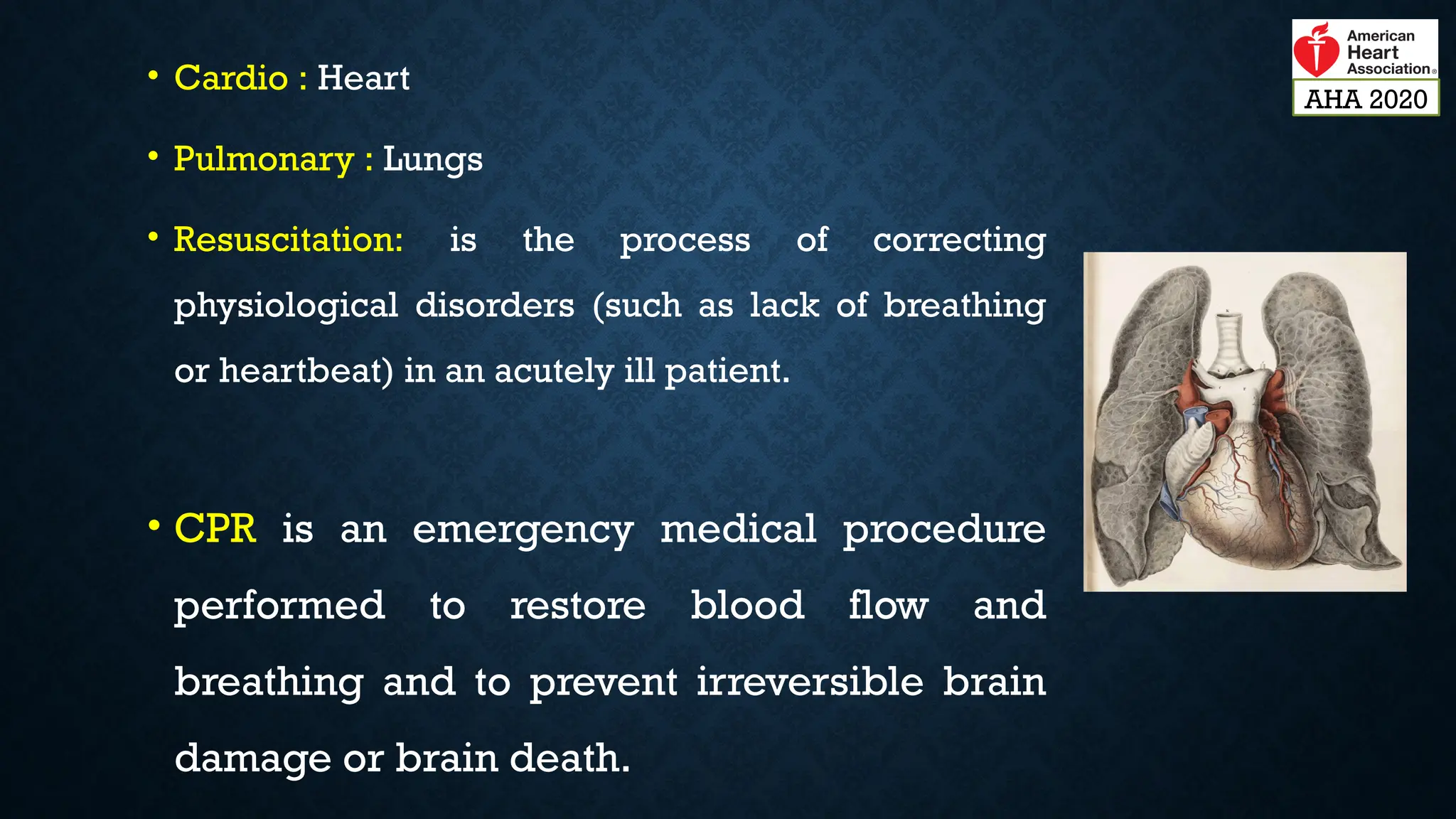 • Cardio : Heart
• Pulmonary : Lungs
• Resuscitation: is the process of correcting
physiological disorders (such as lack of breathing
or heartbeat) in an acutely ill patient.
• CPR is an emergency medical procedure
performed to restore blood flow and
breathing and to prevent irreversible brain
damage or brain death.
AHA 2020
 