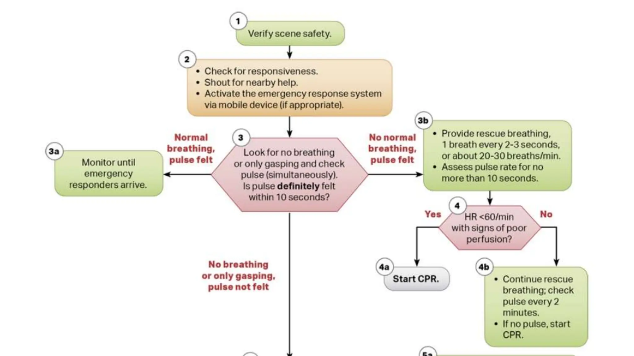 Basic Life Support AHA Pediatrics 2020 updates | PPTX