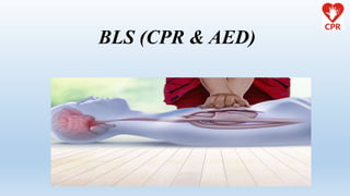 BLS (CPR & AED)
 