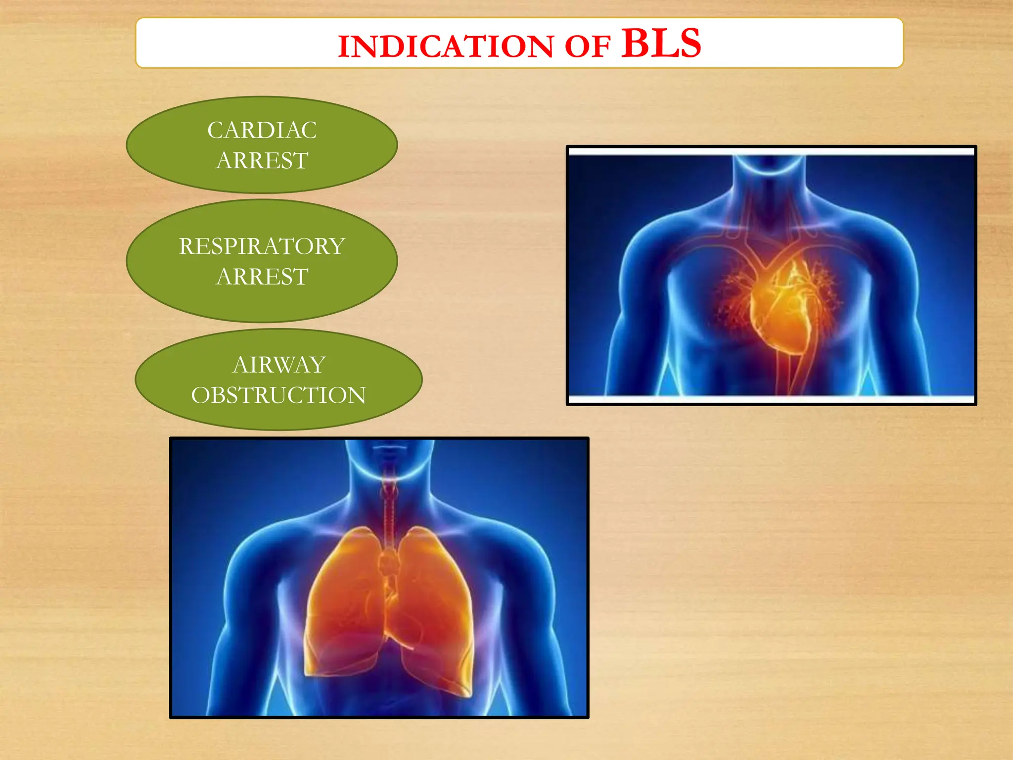INDICATION OF BLS
CARDIAC
ARREST
RESPIRATORY
ARREST
AIRWAY
OBSTRUCTION
 