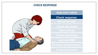 CHECK RESPONSE
Approach safely
Check response
Check the pulse
Open airway
Check breathing
Activate EMS
30 chest compressions
2 rescue breaths
Shout for help
 