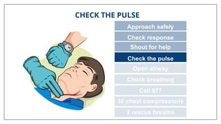 CHECK THE PULSE
Approach safely
Check response
Check the pulse
Open airway
Check breathing
Call 977
30 chest compressions
2 rescue breaths
Shout for help
 
