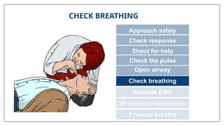 CHECK BREATHING
Approach safely
Check response
Shout for help
Open airway
Check breathing
Activate EMS
30 chest compressions
2 rescue breaths
Check the pulse
 