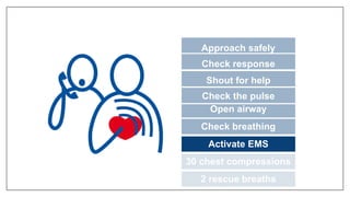 Approach safely
Check response
Shout for help
Open airway
Check breathing
Activate EMS
30 chest compressions
2 rescue breaths
Check the pulse
 