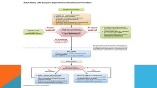 Basic life support BLS PPT NEW with edits.pptx