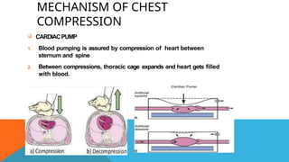 Basic life support BLS PPT NEW with edits.pptx