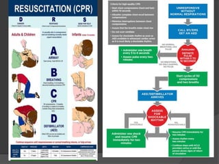 BLS PRESENTATION 11.4.23 TRAINING.pptx