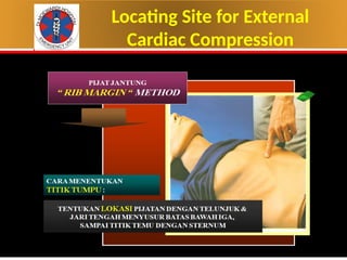 BLS Presentation BASIC LIFE SUPPORT.pptx