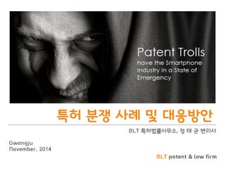 BLT patent & law firm 
특허 분쟁 사례 및 대응방안 
BLT 특허법률사무소, 정 태 균 변리사 
Gwangju 
November, 2014  