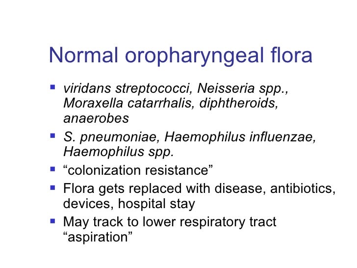 Blt19 14 Jan 09 A Prof Raymond Lin Respiratory Tract Infections