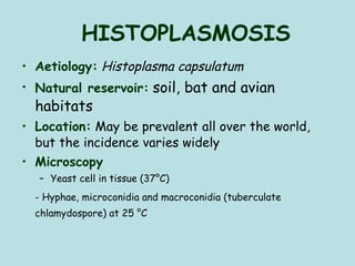 HISTOPLASMOSIS Aetiology:   Histoplasma capsulatum Natural reservoir:   soil, bat and avian habitats Location:  May be prevalent all over the world, but the incidence varies widely  Microscopy   Yeast cell in tissue (37°C) - Hyphae, microconidia and macroconidia (tuberculate chlamydospore) at 25 °C        