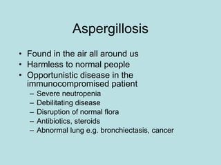 Aspergillosis Found in the air all around us Harmless to normal people Opportunistic disease in the immunocompromised patient Severe neutropenia Debilitating disease Disruption of normal flora Antibiotics, steroids Abnormal lung e.g. bronchiectasis, cancer 
