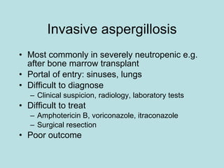 Invasive aspergillosis Most commonly in severely neutropenic e.g. after bone marrow transplant Portal of entry: sinuses, lungs Difficult to diagnose Clinical suspicion, radiology, laboratory tests Difficult to treat Amphotericin B, voriconazole, itraconazole Surgical resection Poor outcome 