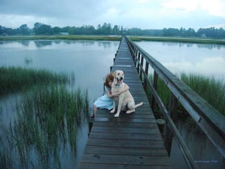 greysea muggy - Flickr 
 