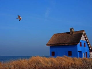 Ostseeleuchte - Flickr 
 