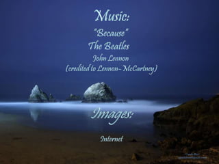 Guida Burt 
(guidaburt@gmail.com) 
