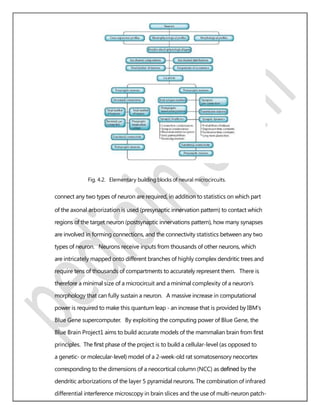 Fig. 4.2. Elementary building blocks of neural microcircuits.
connect any two types of neuron are required, in addition to statistics on which part
of the axonal arborization is used (presynaptic innervation pattern) to contact which
regions of the target neuron (postsynaptic innervations pattern), how many synapses
are involved in forming connections, and the connectivity statistics between any two
types of neuron. Neurons receive inputs from thousands of other neurons, which
are intricately mapped onto different branches of highly complex dendritic trees and
require tens of thousands of compartments to accurately represent them. There is
therefore a minimal size of a microcircuit and a minimal complexity of a neuron’s
morphology that can fully sustain a neuron. A massive increase in computational
power is required to make this quantum leap - an increase that is provided by IBM’s
Blue Gene supercomputer. By exploiting the computing power of Blue Gene, the
Blue Brain Project1 aims to build accurate models of the mammalian brain from ﬁrst
principles. The ﬁrst phase of the project is to build a cellular-level (as opposed to
a genetic- or molecular-level) model of a 2-week-old rat somatosensory neocortex
corresponding to the dimensions of a neocortical column (NCC) as deﬁned by the
dendritic arborizations of the layer 5 pyramidal neurons. The combination of infrared
differential interference microscopy in brain slices and the use of multi-neuron patch-
 