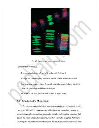 Fig. 4.3. Reconstructing the neocortical column.
layer deﬁnition of the NCC.
· The microcircuits (from left to right) for layers 2, 3, 4 and 5.
· A single thick tufted layer 5 pyramidal neuron located within the column.
· One pyramidal neuron in layer 2, a small pyramidal neuron in layer 5 and the
large thick tufted pyramidal neuron in layer
· An image of the NCC, with neurons located in layers 2 to 5.
4.4 Simulating the Microcircuit
Once the microcircuit is built, the exciting work of making the circuit function
can begin. All the 8192 processors of the Blue Gene are pressed into service, in
a massively parallel computation solving the complex mathematical equations that
govern the electrical activity in each neuron when a stimulus is applied. As the elec-
trical impulse travels from neuron to neuron, the results are communicated via inter-
 
