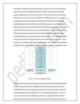 three orders of magnitude. Simulating the NCC could also act as a test-bed to reﬁne
algorithms required to simulate brain function, which can be used to produce ﬁeld
programmable gate array (FPGA)-based chips. FPGAs could increase computational
speeds by as much as two orders of magnitude. The FPGAs could, in turn, provide
the testing ground for the production of specialized NEURON solver application-
speciﬁc integrated circuits (ASICs) that could further increase computational speed
by another one to two orders of magnitude. It could therefore be possible, in principle,
to simulate the human brain even with current technology. The computer industry is
facing what is known as a discontinuity, with increasing processor speed leading to
unacceptably high power consumption and heat production. This is pushing a qualita-
tively new transition in the types of processor to be used in future computers. These
advances in computing should begin to make genetic- and molecular-level simulations
possible. Software applications and datamanipulationrequiredtomodelthe brain with
Fig. 4.4. The data manipulation cascade
biological accuracy. Experimental results that provide the elementary building blocks
of the microcircuit are stored in a database. Before three-dimensional neurons are
modelled electrically, the morphology is parsed for errors, and for repair of arboriza-
tions damaged during slice preparation. The morphological statistics for a class of
neurons are used to clone multiple copies of neurons to generate the full morpho-
logical diversity and the thousands of neurons required in the simulation. A spectrum
 