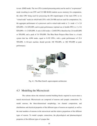in non- SIMD mode. The two CPUs (central processing units) can be used in “co-processor”
mode (resulting in one CPU and 512 MB RAM (random access memory) for computation,
the other CPU being used for processing the I/O (input/output) of the main CPU) or in
“virtual node” mode (in which both CPUs with 256 MB each are used for computation). So,
the aggregate performance of a processor card in virtual node mode is: 2 x node = 2 x 2.8
GFLOPS = 5.6 GFLOPS, and its peak performance (optimal use of double FPU) is: 2 x 5.6
GFLOPS = 11.2 GFLOPS. A rack (1,024 nodes = 2,048 CPUs) therefore has 2.8 teraFLOPS
or TFLOPS, and a peak of 5.6 TFLOPS. The Blue Brain Projects Blue Gene is a 4-rack
system that has 4,096 nodes, equal to 8,192 CPUs, with a peak performance of 22.4
TFLOPS. A 64-rack machine should provide 180 TFLOPS, or 360 TFLOPS at peak
performance.
Fig. 4.1. The Blue Gene/L supercomputer architecture
4.3 Modelling the Microcircuit
The scheme shows the minimal essential building blocks required to recon-struct a
neural microcircuit. Microcircuits are composed of neurons and synaptic connections. To
model neurons, the three-dimensional morphology, ion channel composition, and
distributions and electrical properties of the different types of neuron are required, as well as
the total numbers of neurons in the microcircuit and the relative proportions of the different
types of neuron. To model synaptic connections, the physiological and pharmacological
properties of the different types of synapse that
10
 