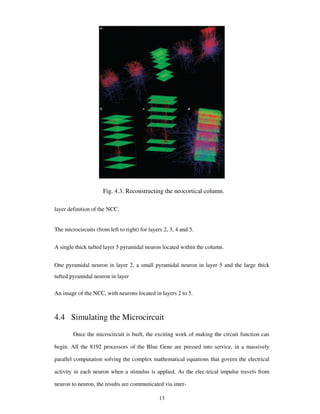Fig. 4.3. Reconstructing the neocortical column.
layer definition of the NCC.
The microcircuits (from left to right) for layers 2, 3, 4 and 5.
A single thick tufted layer 5 pyramidal neuron located within the column.
One pyramidal neuron in layer 2, a small pyramidal neuron in layer 5 and the large thick
tufted pyramidal neuron in layer
An image of the NCC, with neurons located in layers 2 to 5.
4.4 Simulating the Microcircuit
Once the microcircuit is built, the exciting work of making the circuit function can
begin. All the 8192 processors of the Blue Gene are pressed into service, in a massively
parallel computation solving the complex mathematical equations that govern the electrical
activity in each neuron when a stimulus is applied. As the elec-trical impulse travels from
neuron to neuron, the results are communicated via inter-
13
 
