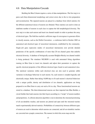 4.6 Data Manipulation Cascade
Building the Blue Column requires a series of data manipulations .The first step is to
parse each three-dimensional morphology and correct errors due to the in vitro preparation
and reconstruction. The repaired neurons are placed in a database from which statistics for
the different anatomical classes of neurons are obtained. These statistics are used to clone an
indefinite number of neurons in each class to capture the full morphological diversity. The
next step is to take each neuron and insert ion channel models in order to produce the array
of electrical types. The field has reached a sufficient stage of convergence to generate efforts
to classify neurons, such as the Petilla Convention - a conference held in October 2005 on
anatomical and electrical types of neocortical interneuron, established by the community.
Single-cell gene expression studies of neocortical interneurons now provide detailed
predictions of the specific combinations of more than 20 ion channel genes that underlie
electrical diversity. A database of biologically accurate Hodgkin-Huxley ion channel models
is being produced. The simulator NEURON is used with automated fitting algorithms
running on Blue Gene to insert ion channels and adjust their parameters to capture the
specific electrical properties of the different electrical types found in each anatomical class.
The statistical variations within each electrical class are also used to generate subtle
variations in discharge behaviour in each neuron. So, each neuron is morpho-logically and
electrically unique. Rather than taking 10,000 days to fit each neuron’s electrical behaviour
with a unique profile, density and distribution of ion channels, applications are being
prepared to use Blue Gene to carry out such a fit in a day. These functionalized neurons are
stored in a database. The three-dimensional neurons are then imported into Blue Builder, a
circuit builder that loads neurons into their layers according to a “recipe” of neuron numbers
and proportions. A collision detection algorithm is run to determine the structural positioning
of all axo-dendritic touches, and neurons are jittered and spun until the structural touches
match experimentally derived statistics. Probabilities of connectivity between different types
of neuron are used to determine which neurons are connected, and all axo-dendritic touches
are converted into synaptic connections. The manner in which the axons map onto the
15
 