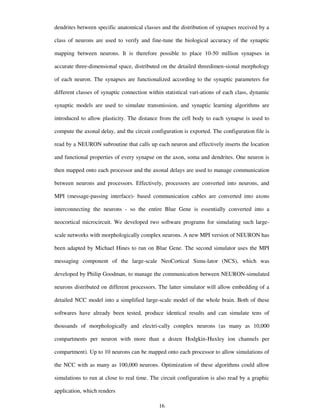 dendrites between specific anatomical classes and the distribution of synapses received by a
class of neurons are used to verify and fine-tune the biological accuracy of the synaptic
mapping between neurons. It is therefore possible to place 10-50 million synapses in
accurate three-dimensional space, distributed on the detailed threedimen-sional morphology
of each neuron. The synapses are functionalized according to the synaptic parameters for
different classes of synaptic connection within statistical vari-ations of each class, dynamic
synaptic models are used to simulate transmission, and synaptic learning algorithms are
introduced to allow plasticity. The distance from the cell body to each synapse is used to
compute the axonal delay, and the circuit configuration is exported. The configuration file is
read by a NEURON subroutine that calls up each neuron and effectively inserts the location
and functional properties of every synapse on the axon, soma and dendrites. One neuron is
then mapped onto each processor and the axonal delays are used to manage communication
between neurons and processors. Effectively, processors are converted into neurons, and
MPI (message-passing interface)- based communication cables are converted into axons
interconnecting the neurons - so the entire Blue Gene is essentially converted into a
neocortical microcircuit. We developed two software programs for simulating such large-
scale networks with morphologically complex neurons. A new MPI version of NEURON has
been adapted by Michael Hines to run on Blue Gene. The second simulator uses the MPI
messaging component of the large-scale NeoCortical Simu-lator (NCS), which was
developed by Philip Goodman, to manage the communication between NEURON-simulated
neurons distributed on different processors. The latter simulator will allow embedding of a
detailed NCC model into a simplified large-scale model of the whole brain. Both of these
softwares have already been tested, produce identical results and can simulate tens of
thousands of morphologically and electri-cally complex neurons (as many as 10,000
compartments per neuron with more than a dozen Hodgkin-Huxley ion channels per
compartment). Up to 10 neurons can be mapped onto each processor to allow simulations of
the NCC with as many as 100,000 neurons. Optimization of these algorithms could allow
simulations to run at close to real time. The circuit configuration is also read by a graphic
application, which renders
16
 