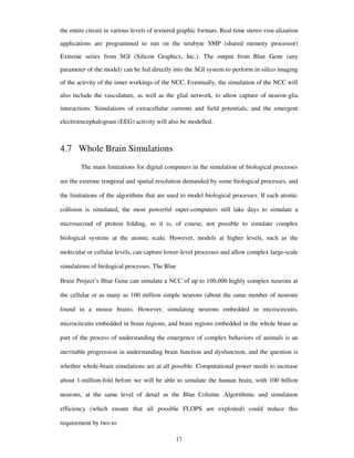 the entire circuit in various levels of textured graphic formats. Real-time stereo visu-alization
applications are programmed to run on the terabyte SMP (shared memory processor)
Extreme series from SGI (Silicon Graphics, Inc.). The output from Blue Gene (any
parameter of the model) can be fed directly into the SGI system to perform in silico imaging
of the activity of the inner workings of the NCC. Eventually, the simulation of the NCC will
also include the vasculature, as well as the glial network, to allow capture of neuron-glia
interactions. Simulations of extracellular currents and field potentials, and the emergent
electroencephalogram (EEG) activity will also be modelled.
4.7 Whole Brain Simulations
The main limitations for digital computers in the simulation of biological processes
are the extreme temporal and spatial resolution demanded by some biological processes, and
the limitations of the algorithms that are used to model biological processes. If each atomic
collision is simulated, the most powerful super-computers still take days to simulate a
microsecond of protein folding, so it is, of course, not possible to simulate complex
biological systems at the atomic scale. However, models at higher levels, such as the
molecular or cellular levels, can capture lower-level processes and allow complex large-scale
simulations of biological processes. The Blue
Brain Project’s Blue Gene can simulate a NCC of up to 100,000 highly complex neurons at
the cellular or as many as 100 million simple neurons (about the same number of neurons
found in a mouse brain). However, simulating neurons embedded in microcircuits,
microcircuits embedded in brain regions, and brain regions embedded in the whole brain as
part of the process of understanding the emergence of complex behaviors of animals is an
inevitable progression in understanding brain function and dysfunction, and the question is
whether whole-brain simulations are at all possible. Computational power needs to increase
about 1-million-fold before we will be able to simulate the human brain, with 100 billion
neurons, at the same level of detail as the Blue Column. Algorithmic and simulation
efficiency (which ensure that all possible FLOPS are exploited) could reduce this
requirement by two to
17
 
