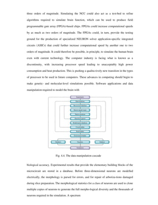 three orders of magnitude. Simulating the NCC could also act as a test-bed to refine
algorithms required to simulate brain function, which can be used to produce field
programmable gate array (FPGA)-based chips. FPGAs could increase computational speeds
by as much as two orders of magnitude. The FPGAs could, in turn, provide the testing
ground for the production of specialized NEURON solver application-specific integrated
circuits (ASICs) that could further increase computational speed by another one to two
orders of magnitude. It could therefore be possible, in principle, to simulate the human brain
even with current technology. The computer industry is facing what is known as a
discontinuity, with increasing processor speed leading to unacceptably high power
consumption and heat production. This is pushing a qualita-tively new transition in the types
of processor to be used in future computers. These advances in computing should begin to
make genetic- and molecular-level simulations possible. Software applications and data
manipulation required to model the brain with
Fig. 4.4. The data manipulation cascade
biological accuracy. Experimental results that provide the elementary building blocks of the
microcircuit are stored in a database. Before three-dimensional neurons are modelled
electrically, the morphology is parsed for errors, and for repair of arboriza-tions damaged
during slice preparation. The morphological statistics for a class of neurons are used to clone
multiple copies of neurons to generate the full morpho-logical diversity and the thousands of
neurons required in the simulation. A spectrum
 