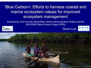 'Blue Carbon+: Efforts to harness coastal and
marine ecosystem values for improved
ecosystem management
Experiences from the Abu Dhabi Blue Carbon Demonstration Project and the
GEF/UNEP Blue Forests Project (PPG)

Steven Lutz

Garth Cripps, Blue Ventures

 