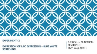 S.Y.B.Sc. - PRACTICAL
SESSION-3
(12th Aug.2021)
EXPERIMENT-2
EXPRESSION OF LAC EXPRESSION – BLUE WHITE
SCREENING
 