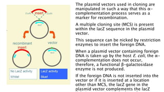 The plasmid vectors used in cloning are
manipulated in such a way that this α-
complementation process serves as a
marker for recombination.
A multiple cloning site (MCS) is present
within the lacZ sequence in the plasmid
vector.
This sequence can be nicked by restriction
enzymes to insert the foreign DNA.
When a plasmid vector containing foreign
DNA is taken up by the host E. coli, the α-
complementation does not occur,
therefore, a functional β-galactosidase
enzyme is not produced.
If the foreign DNA is not inserted into the
vector or if it is inserted at a location
other than MCS, the lacZ gene in the
plasmid vector complements the lacZ
 