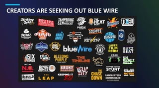 Blue Wire Pitch Deck