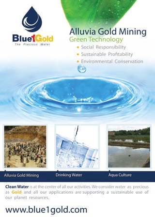 Blue1Gold brochure