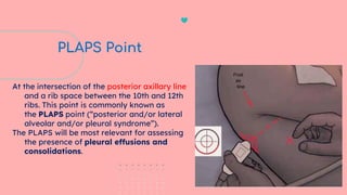 Bedside Ultrasound (BLUE Protocol): Advanced POCUS in Critical Care | PDF
