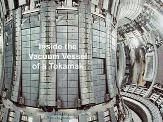 18
Inside the
Vacuum Vessel
of a Tokamak
FUSION ADVOCATES GOPE NOV.
2016 LAS VEGAS
 